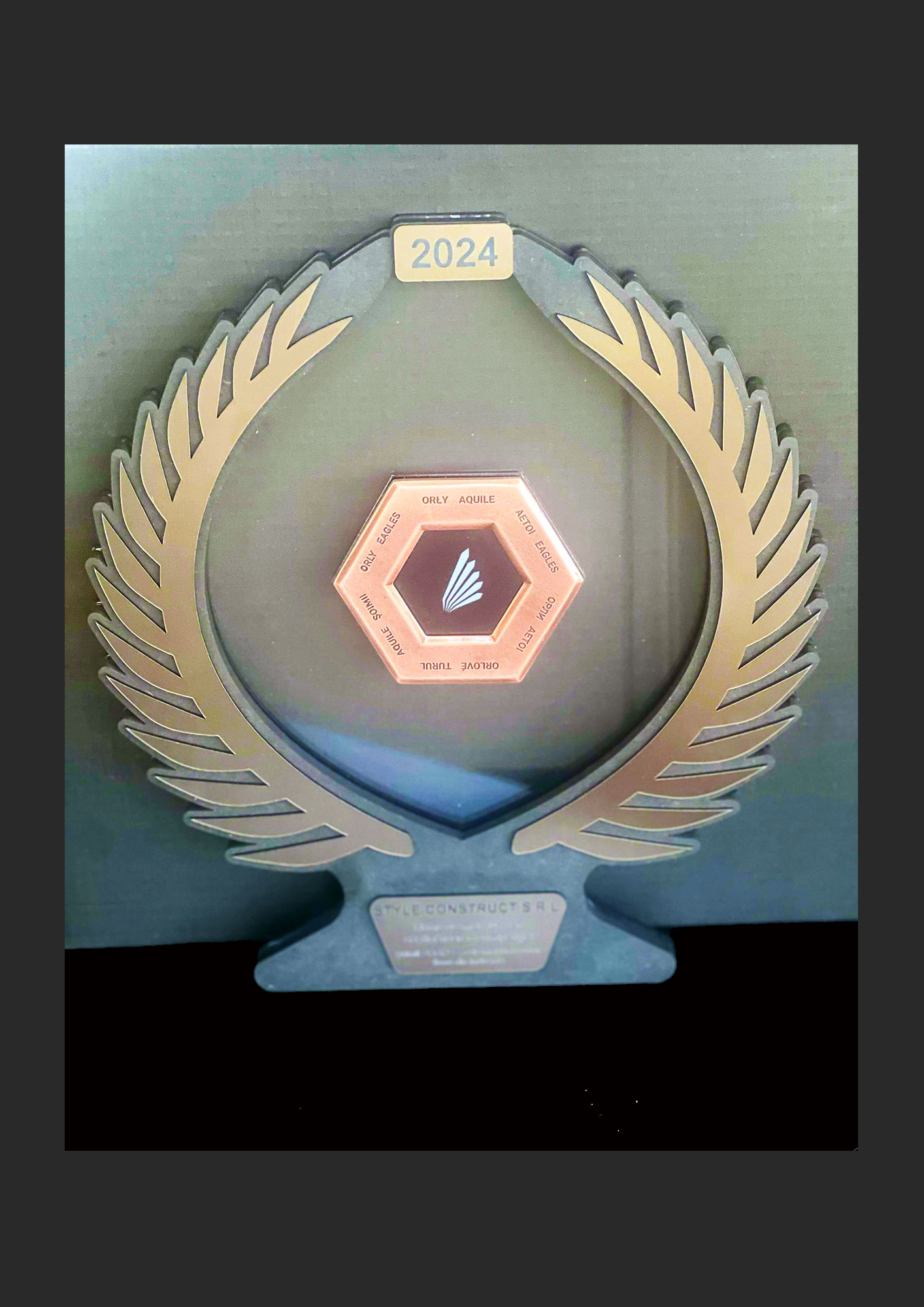 premii-style-trofeu-2024